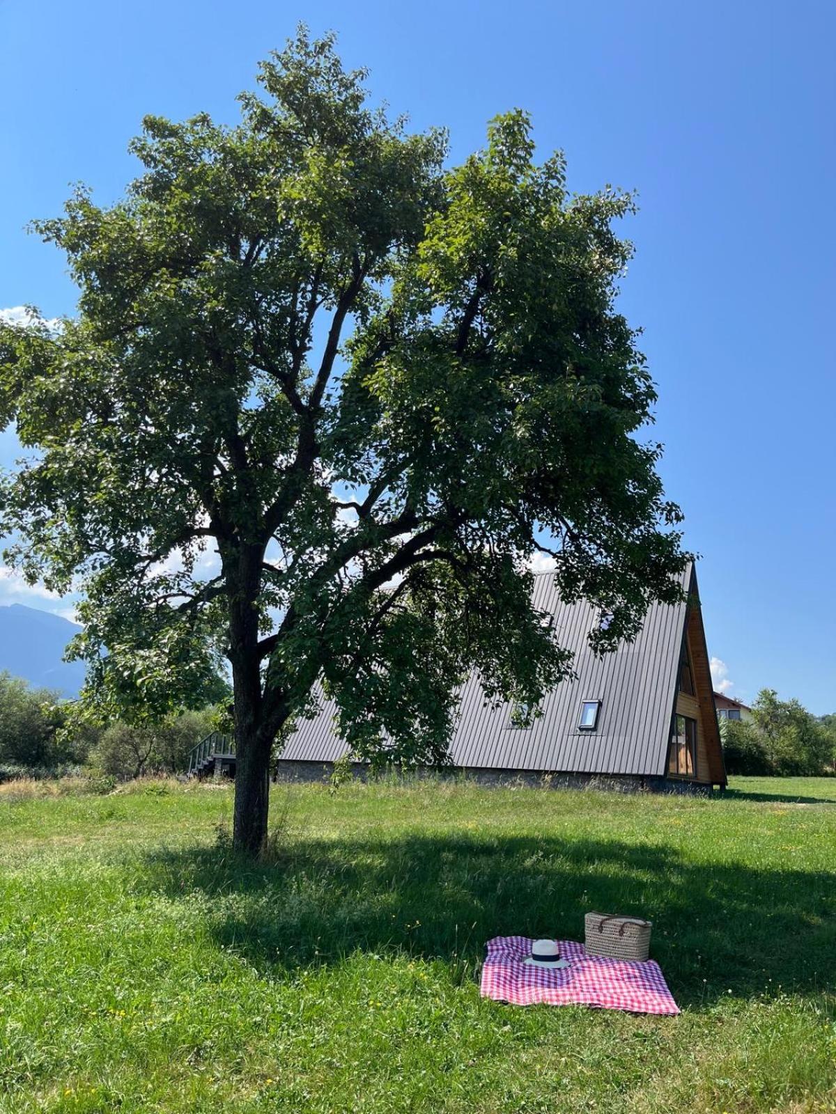 Vino Chalets Bran Sohodol  Extérieur photo
